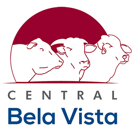 Central Bela Vista (SP)