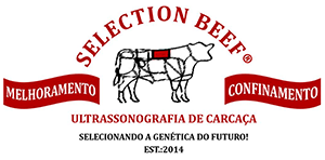 Selection Beef (SP)