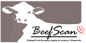 BeefScan Paraguay 
