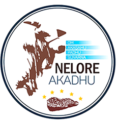 Nelore Akadhu (BA)